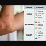 preventive-homeopathy-dengue-malaria-delhi-ncr